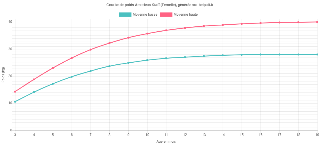 croissance-american-staff-la-courbe-de-poids-du-chiot-american-staff